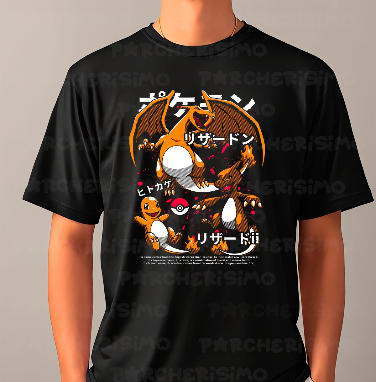 Charizard evolución