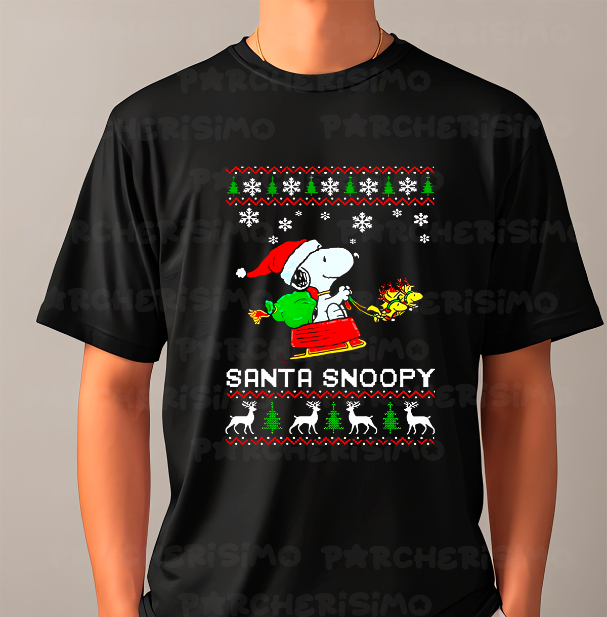 Santa Snoopy