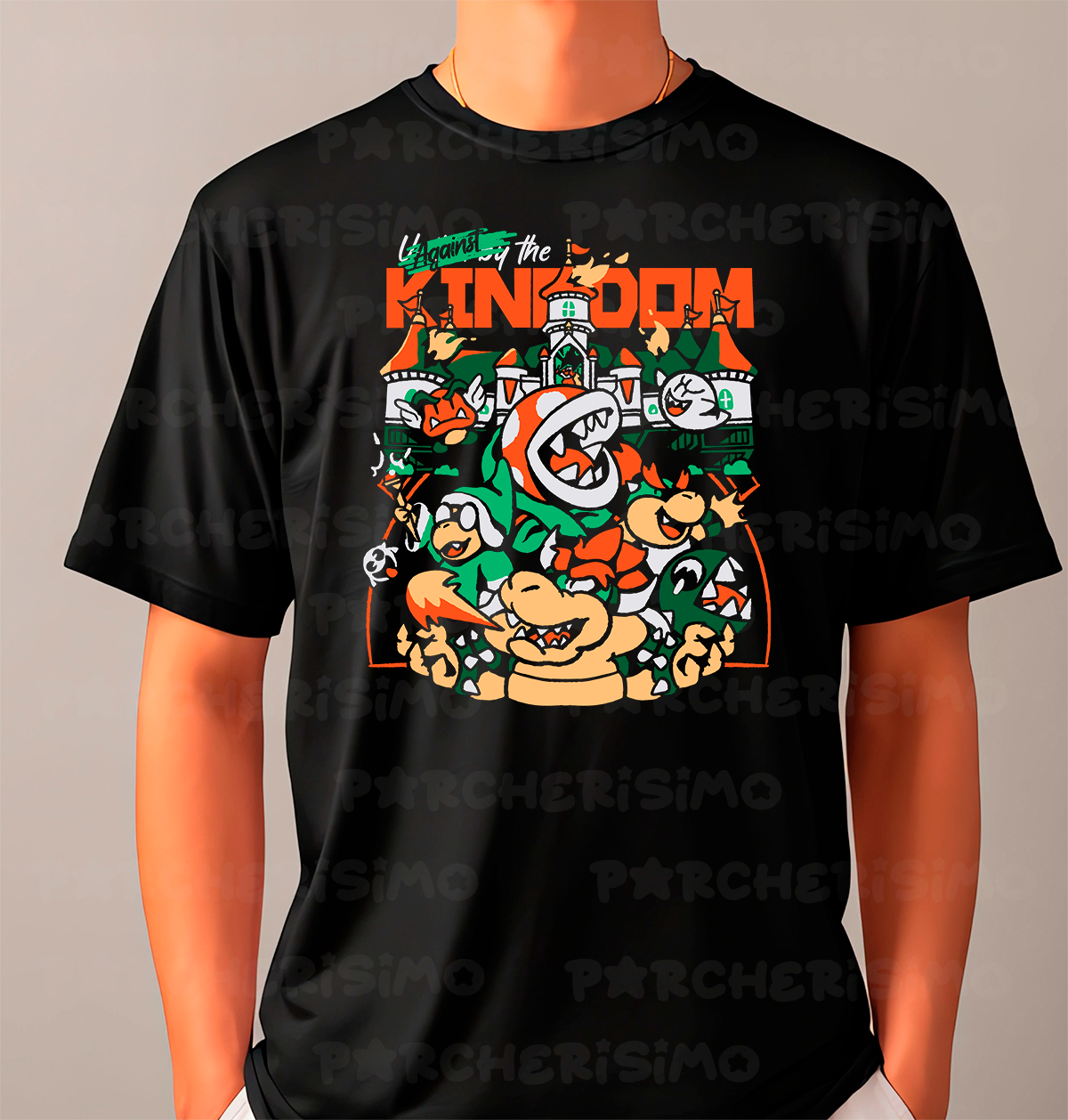 Bowser's Kingdom